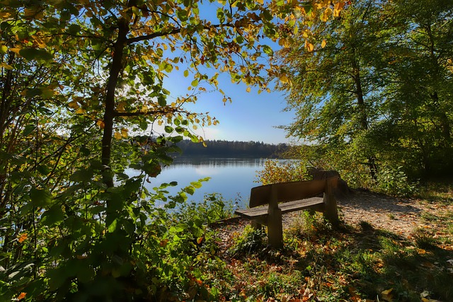 班牙错过